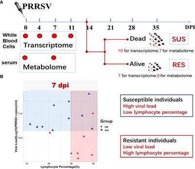 Frontiers | Integrated Time-series Transcriptomic And Metabolomic ...